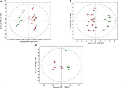 Blood-Based Lipidomics Approach to Evaluate Biomarkers Associated With Response to Olanzapine, Risperidone, and <mark class="highlighted">Quetiapine</mark> Treatment in Schizophrenia Patients